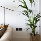 Bronze and black single socket fixed to white wall with large palm plant to the right and cream lounge suite to the left 